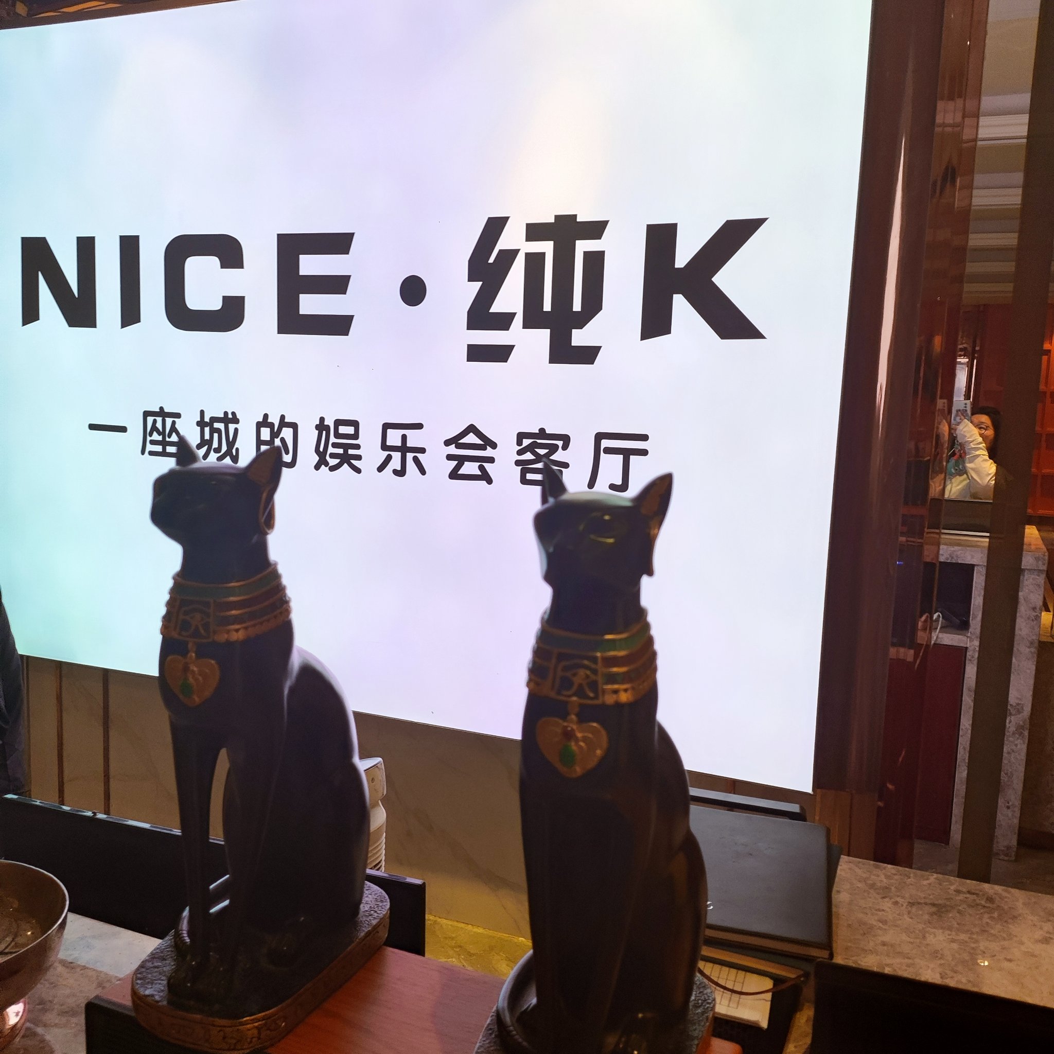 天津商务ktv最佳商务ktv玩法推荐-津南区ktv预订
